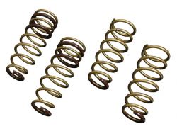Tein 04-08 TSX S Tech Lowering Springs