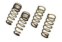 Tein 02-04 RSX S Tech Lowering Springs