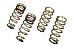 Tein 02-04 RSX S Tech Lowering Springs