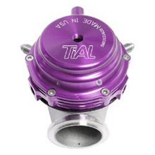 Tial Purple MVS 38mm Wastegate