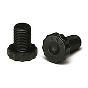 ARP Flywheel Bolts
