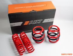 AST Suspension 17-23 Civic Type R Lowering Springs