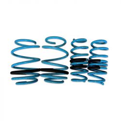 BLOX Racing 92-95 Civic/92-97 Del Sol Lowering Springs