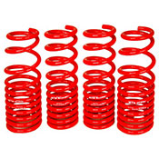 Blox Lowering Springs