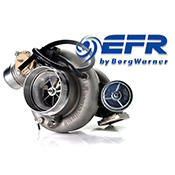 BorgWarner EFR