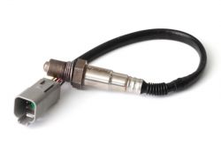 Haltech Bosch LSU 4.2 Wideband O2 Sensor