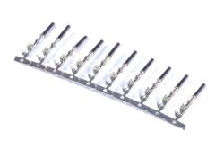 Haltech AMP Superseal ECU Pins Pack of 10