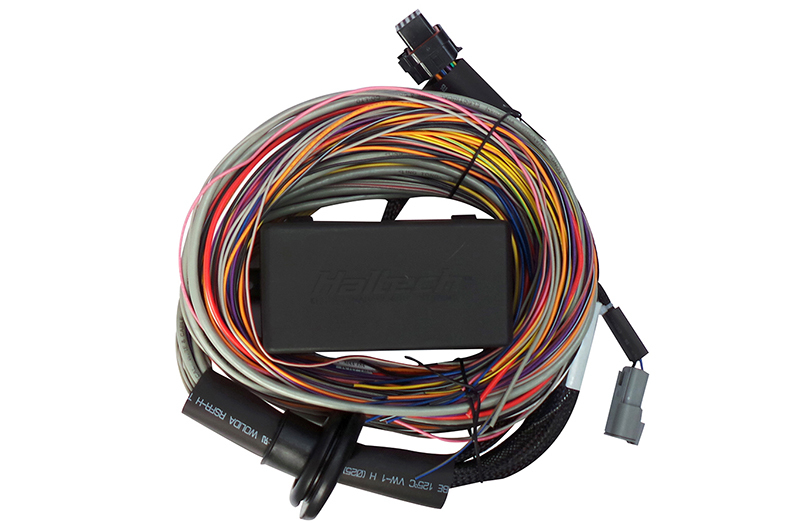 Haltech 8ft Elite 550/750 Premium Universal Wire-In Harness
