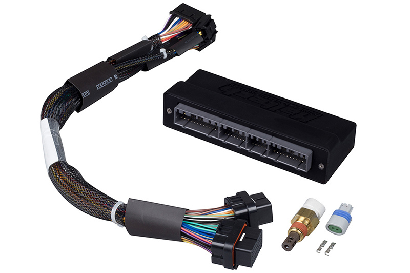 Haltech Honda/Acura B-Series OBD1 Elite 1000/1500 Plug-and-Play Adaptor Harness