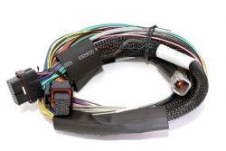 Haltech Elite 1500/2500/2500T Basic Universal 8ft Wire-In Harness