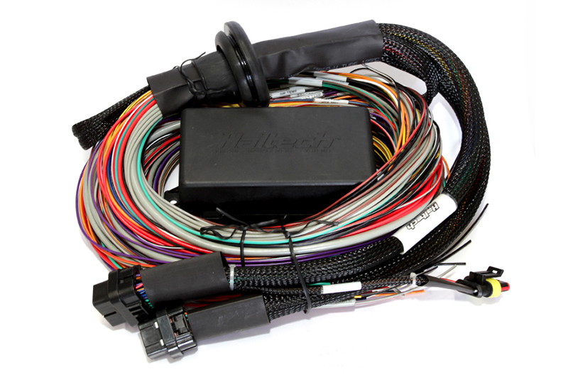 Haltech Elite 1500/2500/2500T 8ft Premium Universal Wire-In Harness