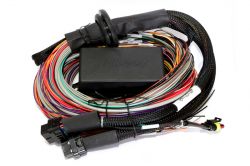 Haltech Elite 1500/2500/2500T 8ft Premium Universal Wire-In Harness