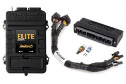 Haltech 00-05 S2000 Elite 1500 Plug-and-Play Adaptor Harness with ECU Kit