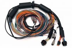 Haltech 8ft NEXUS R3 Universal Wire-In Harness