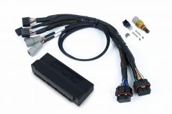 Haltech Honda/Acura OBD1 NEXUS S2/S3 Plug-and-Play Adapter Harness