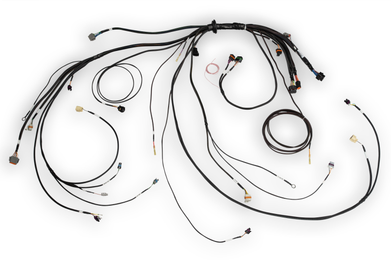 Haltech NEXUS Rebel LS Terminated Harness for NEXUS Rebel LS ECU