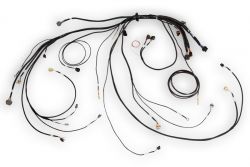 Haltech NEXUS Rebel LS Terminated Harness for NEXUS Rebel LS ECU
