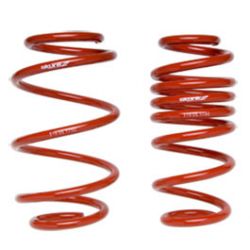 Skunk2 02-05 Civic Si Lowering Springs