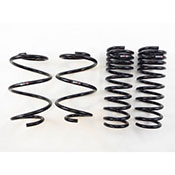 RS-R Lowering Springs