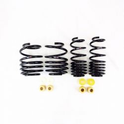 RS-R 23-25 Civic Type R FL5 Down Sus Lowering Springs