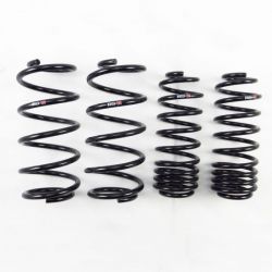 RS-R 14-20 Fit GK5 Down Sus Lowering Springs