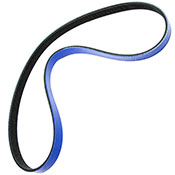 Serpentine Belt