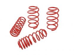 Skunk2 07-11 Civic Lowering Springs