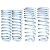 Truhart Lowering Springs