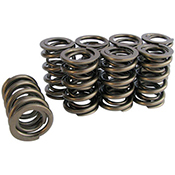Valve Springs